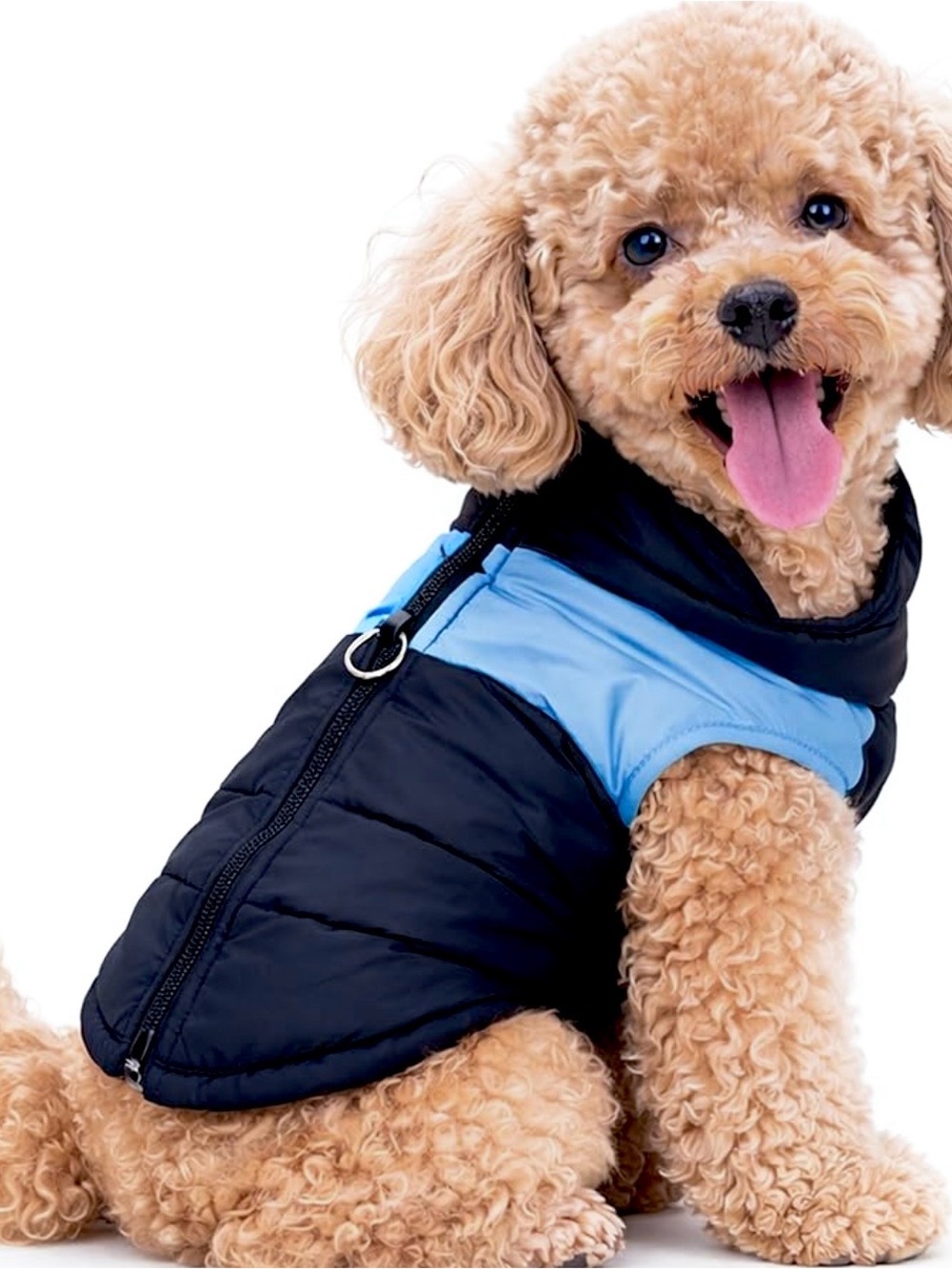 Lightweight Waterproof Dog Jacket with Back Zipper and Harness Ring, Size Small